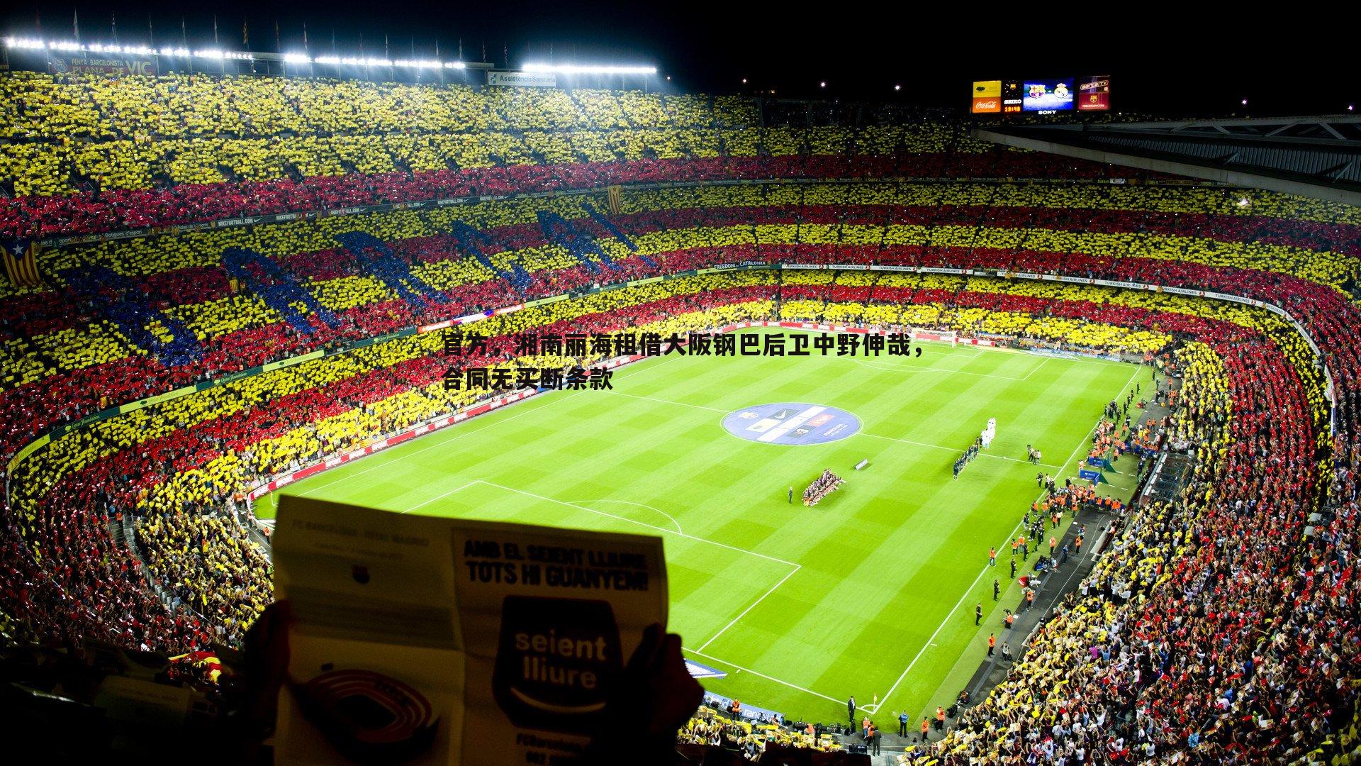 官方，湘南丽海租借大阪钢巴后卫中野伸哉，合同无买断条款